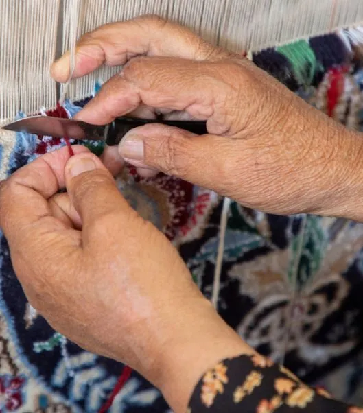 Area Rug Restoration process